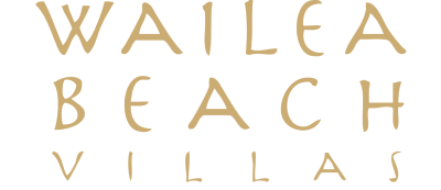WBV Luxury Real Estate