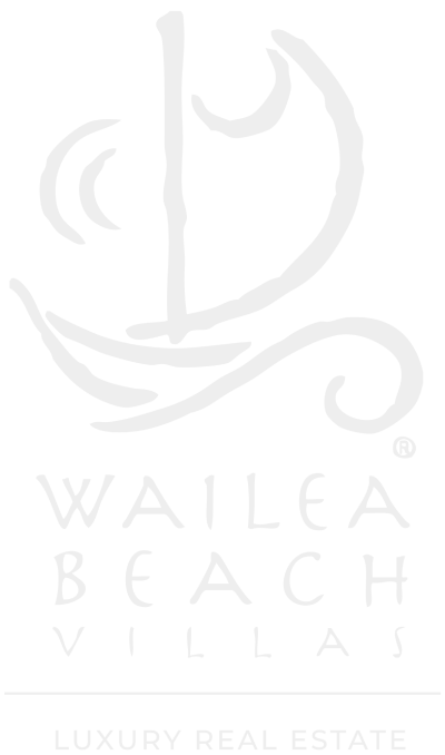 WBV Luxury Real Estate