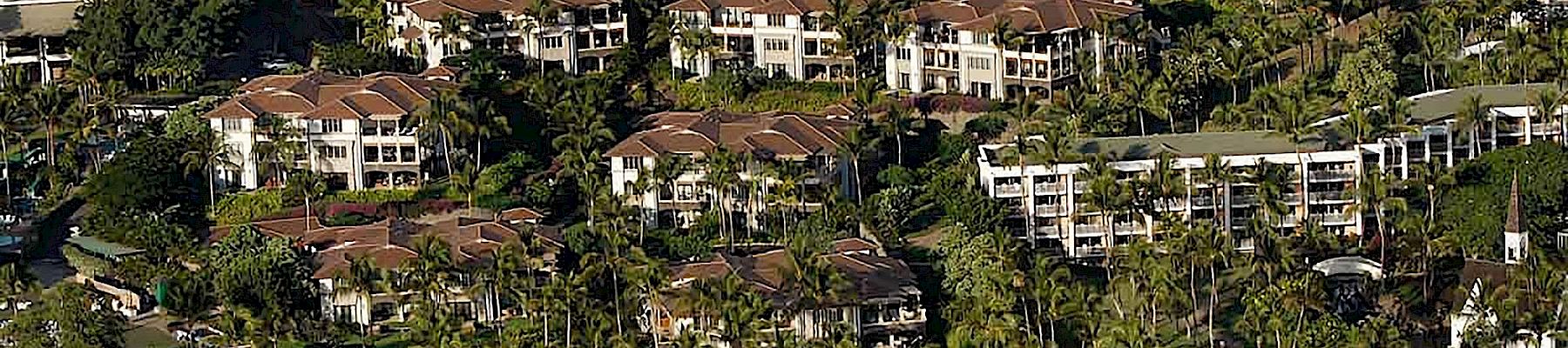 WBV Luxury Real Estate