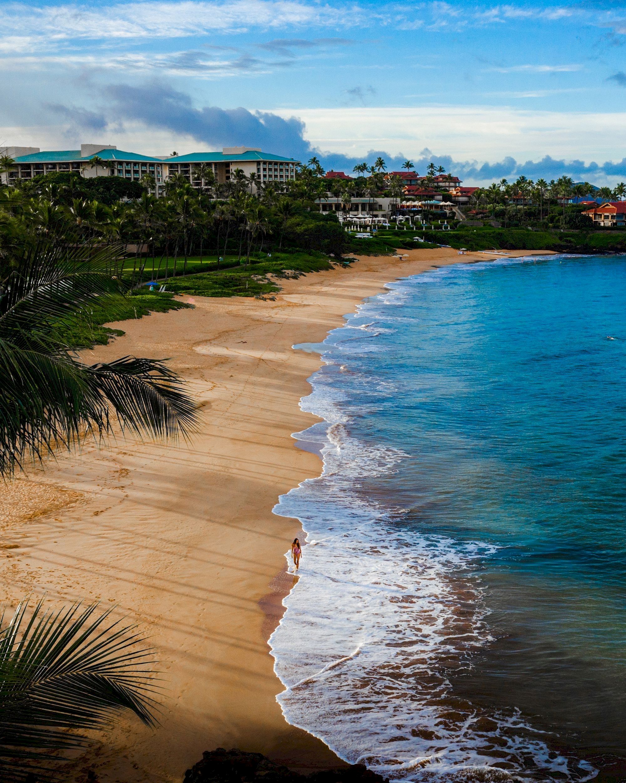 Palm-fringed tropical beach with golden sand, turquoise waves, and resort buildings lining the shore under a blue sky.