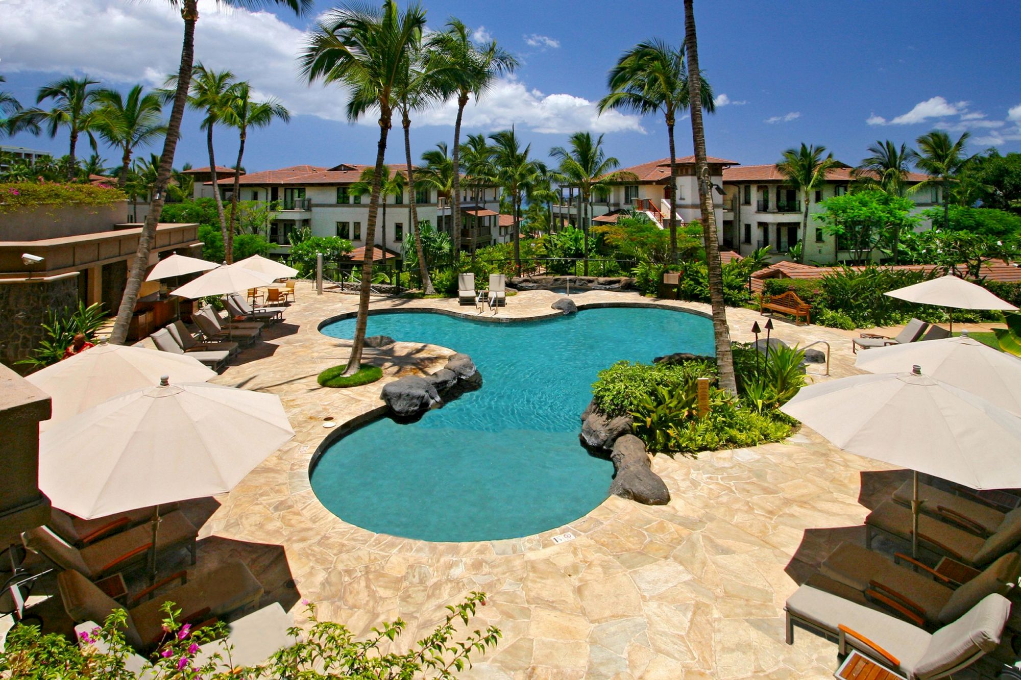 A luxurious resort pool area with turquoise water, palm trees, lounge chairs, and umbrellas.