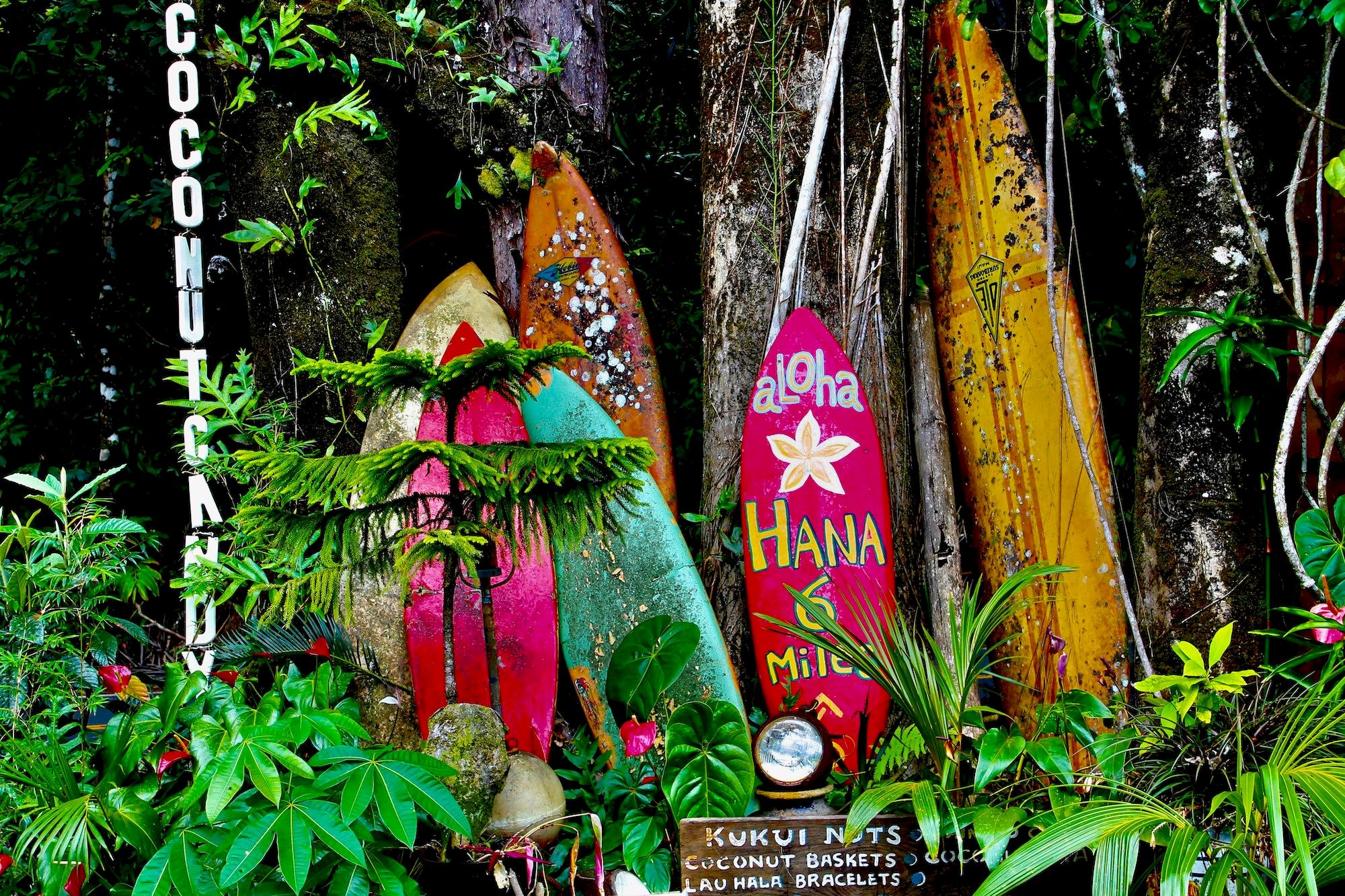 Colorful surfboards leaning against foliage in a tropical garden, with plants and a sign; a vibrant, playful beachy display.