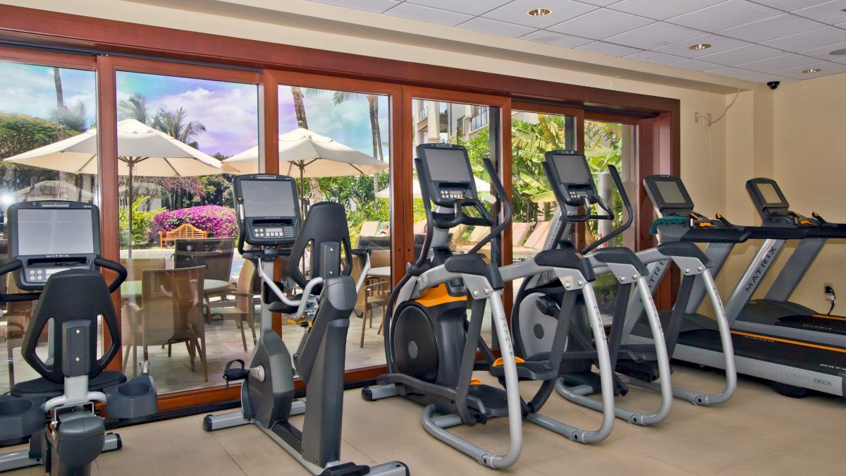 A gym with multiple cardio machines (treadmills and ellipticals) lined up by large glass doors, letting in outdoor patio scenery.
