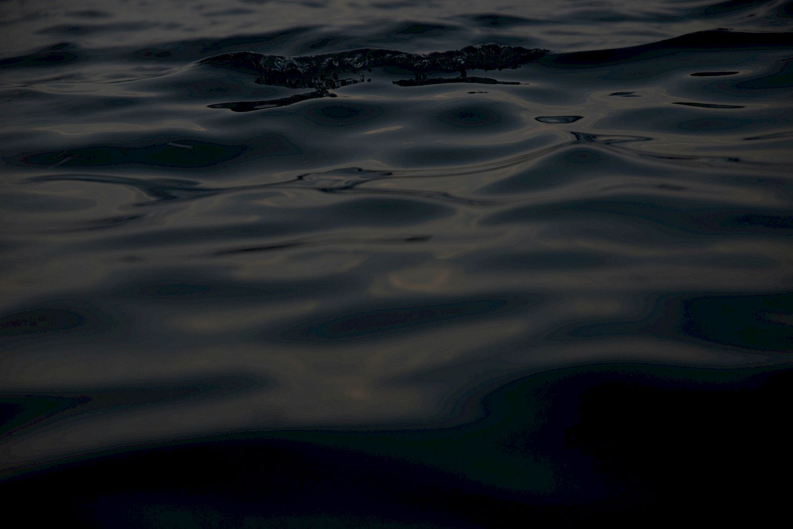 Dark, rippling water with gentle waves reflecting minimal light, a calm and moody seascape.