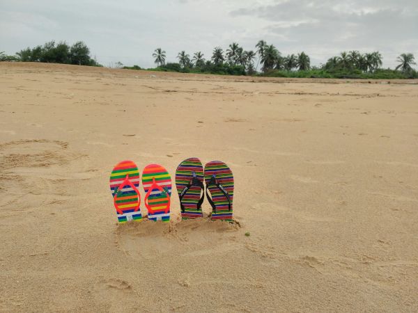 Colorful striped flip-flops planted in a sandy beach with calm water and trees in the distance, suggesting a peaceful seaside day.
