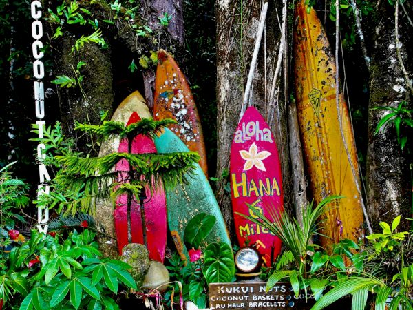 Colorful surfboards leaning against tropical plants with playful designs, flowers, and text, in a lush green setting.