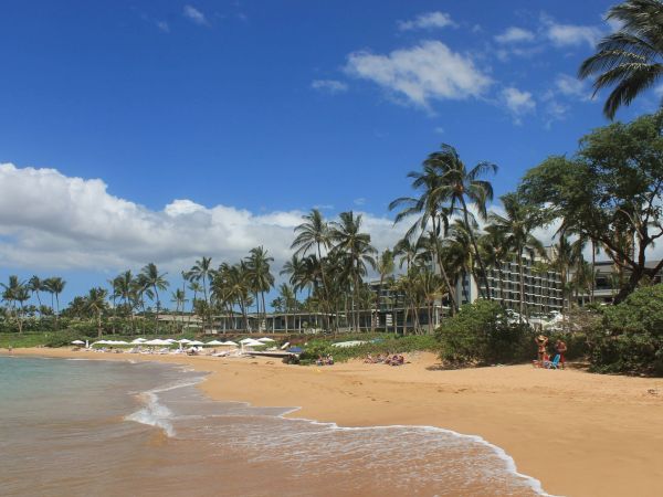 A sunny tropical beach with golden sand, gentle waves, palm trees, and a few buildings in the background under a blue sky.