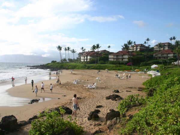 A sunny beach scene with people walking along shore, waves lapping, rocky foreground, and hillside houses with palm trees in the background.