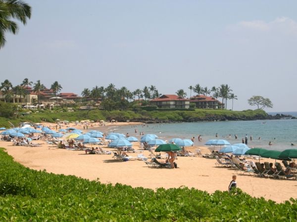 A sunny beach scene with many people under blue umbrellas, palm trees in the background, and calm ocean waves lining a sandy shore.