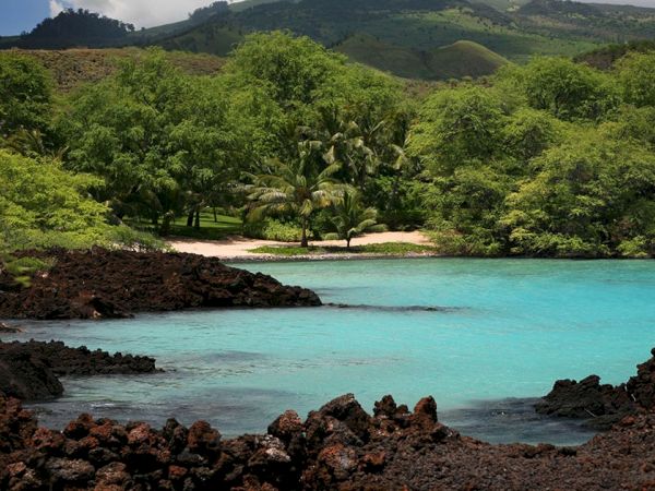 Tropical beach with turquoise water, lush green trees, and rocky lava formations along the shore.