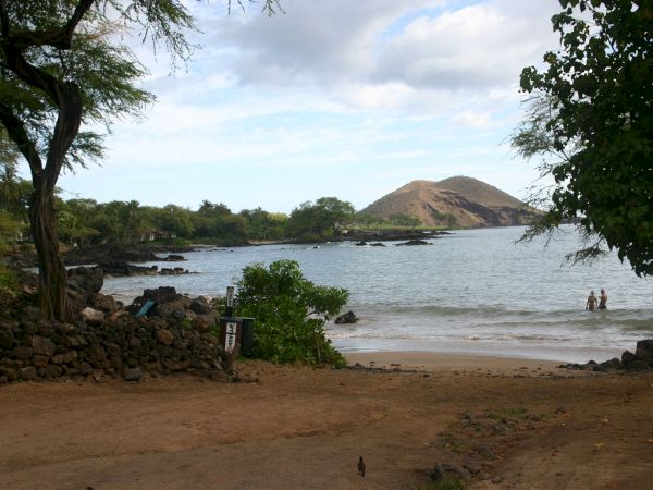 A quiet beach with calm waves, rocky shoreline, and a distant hill, framed by trees and a partly cloudy sky, inviting a peaceful stroll.
