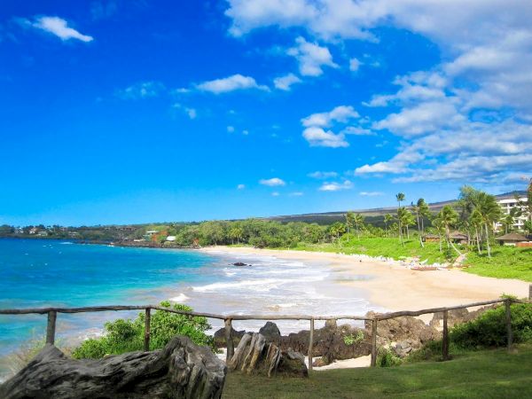A sunny coastal scene with a blue sky, white clouds, and turquoise water; a sandy beach lined with green vegetation and a rustic wooden fence.