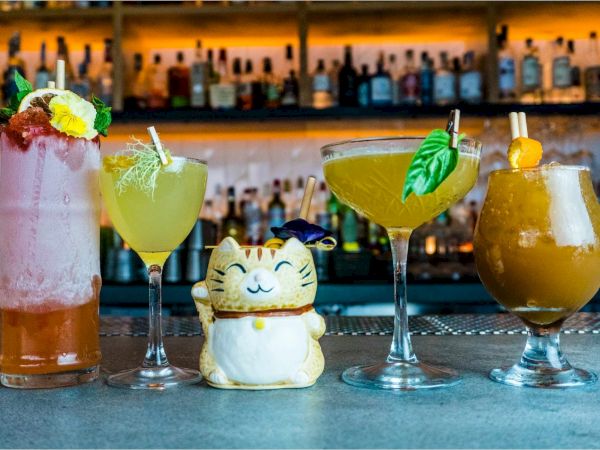 A bright bar scene with four colorful cocktails and a cute ceramic cat figurine smiling between drinks, against a blurred bottle-filled backdrop.