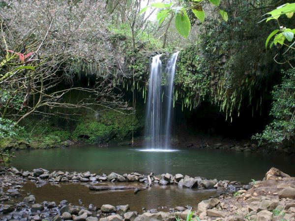 A small waterfall drops into a calm pool, surrounded by lush greenery and a rocky shore. Top it at 140 characters, always ending the sentence.
