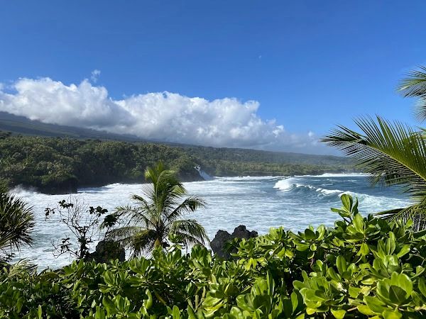 A tropical coastline with lush green foliage in the foreground, rocky shore, crashing waves, and a clear blue sky with fluffy white clouds.