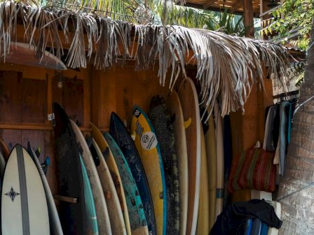 A shack with numerous surfboards leaning against a wooden wall under palm leaves, leaning against a tree, tropical vibe, sunny day.