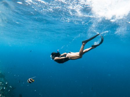A snorkeler glides underwater near a school of silver fish, sunlight filtering through blue water.