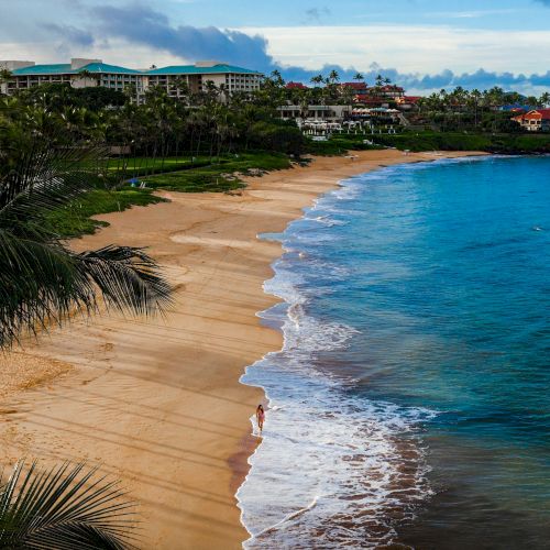 A sunny tropical beach with golden sand, turquoise water, palm trees, and a gentle shoreline.