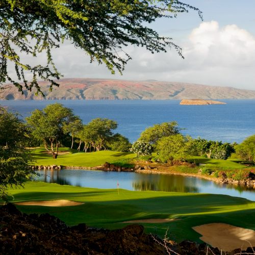 A scenic coastal landscape with a grassy cliff, trees, and a body of water under a partly cloudy blue sky.