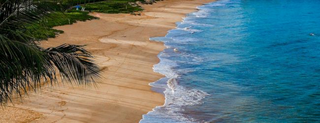 A tropical beach with golden sand, palm trees, and turquoise waves lapping the shore, resort buildings lining the background under a blue sky.