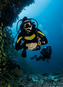 A diver explores a vibrant coral wall swarmed by yellow fish, gliding underwater with gear and a calm, reef‑filled backdrop.
