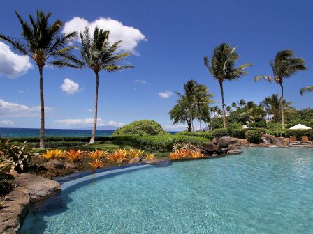 A tropical pool with clear blue water, palm trees swaying, a rocky edge with plants, and the ocean in the background under a sunny sky.