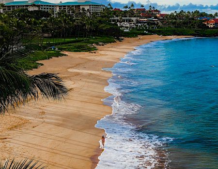 Sunny tropical beach with golden sand, turquoise water, palm trees, and resort buildings in the background.