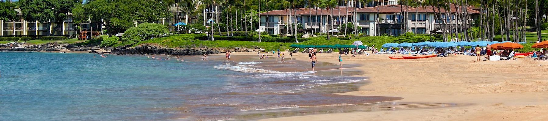 A tropical beach scene with golden sand, palm-lined shore, calm blue water, and resort buildings in the background under a sunny sky.