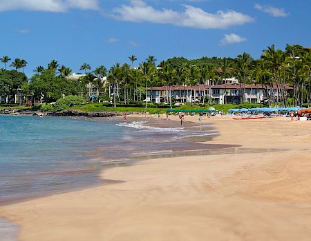 A tropical beach scene with golden sand, palm-lined shore, calm blue water, and resort buildings in the background under a sunny sky.
